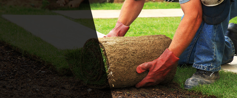 Fond Du Lac Landscapers